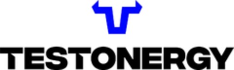 TESTONERGY Logo (DPMA, 19.03.2024)