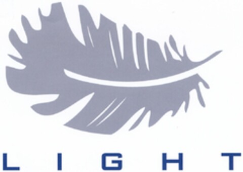 LIGHT Logo (DPMA, 04/19/2004)