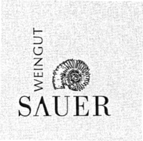 WEINGUT SAUER Logo (DPMA, 27.08.2008)