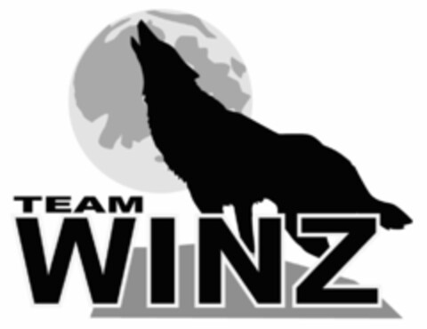 TEAM WINZ Logo (DPMA, 11.02.2014)