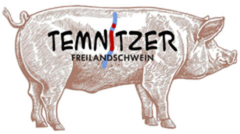 TEMNITZER FREILANDSCHWEIN Logo (DPMA, 18.02.2019)