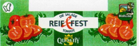REIF & FEST Logo (DPMA, 01.02.1995)