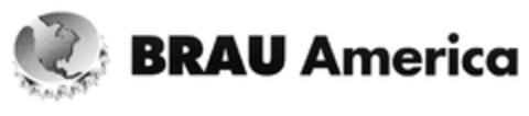 BRAU America Logo (DPMA, 17.11.2008)