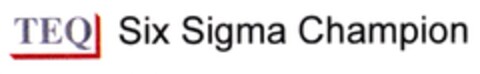 TEQ Six Sigma Champion Logo (DPMA, 18.10.2007)