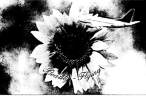 Beauty - Flying Logo (DPMA, 17.07.2000)