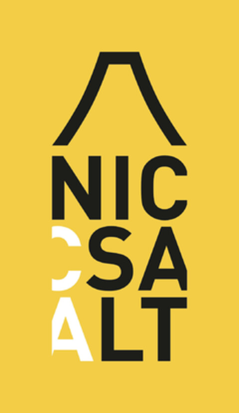 NICSALT Logo (DPMA, 13.08.2024)