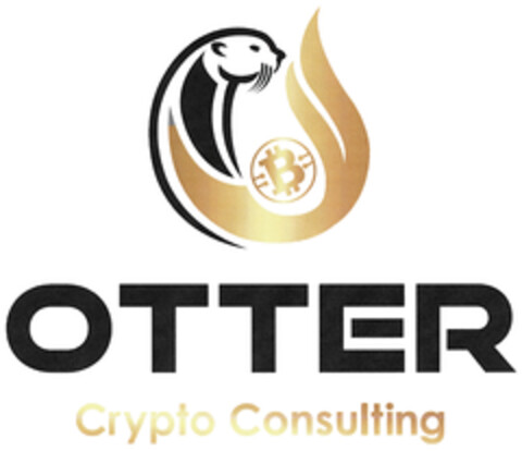 B OTTER Consulting Logo (DPMA, 31.08.2023)