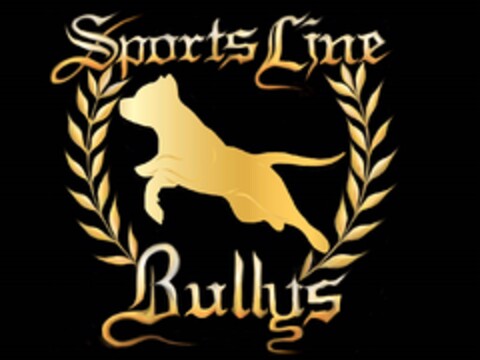 Sports Line Bullys Logo (DPMA, 07.03.2019)