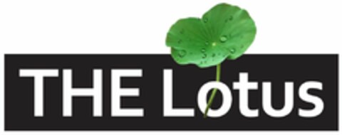 THE Lotus Logo (DPMA, 03.04.2024)