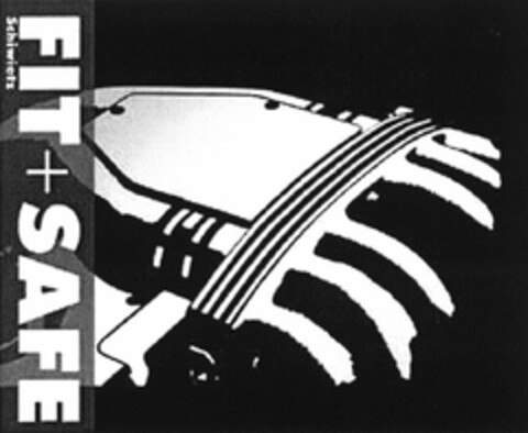 FIT + SAFE Logo (DPMA, 23.01.2006)