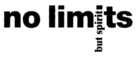 no limits but spirit Logo (DPMA, 06/08/1998)