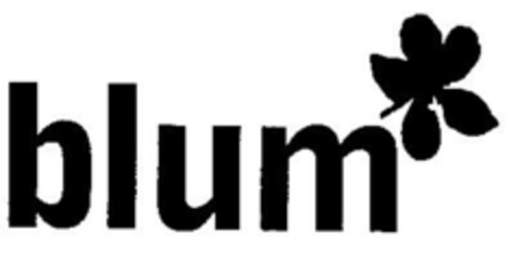 blum Logo (DPMA, 13.07.2000)