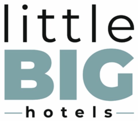 little BIG hotels Logo (DPMA, 04/18/2024)