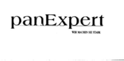 panExpert Logo (DPMA, 01/07/1995)