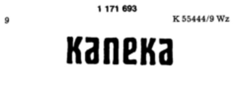 kaneka Logo (DPMA, 11.12.1989)