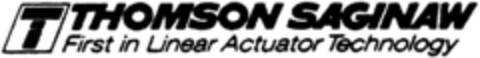 THOMSON SAGINAW Logo (DPMA, 02.05.1991)