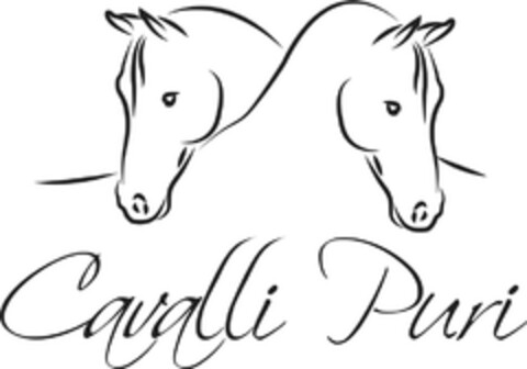 Cavalli Puri Logo (DPMA, 11/17/2017)