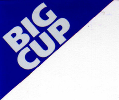 BIG CUP Logo (DPMA, 22.07.1997)