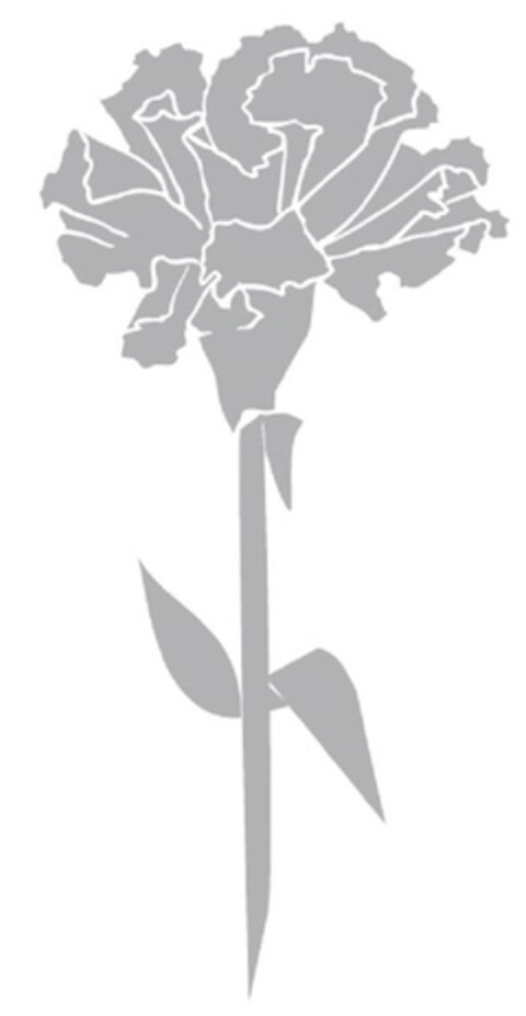 302013000856 Logo (DPMA, 11.02.2013)