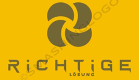 RiCHTiGE LÖSUNG SMASHINGLOGO Logo (DPMA, 05.02.2024)