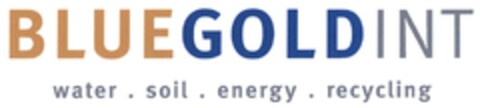 BLUEGOLDINT water soil energy recycling Logo (DPMA, 08/02/2007)