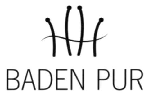 BADEN PUR Logo (DPMA, 09.07.2013)