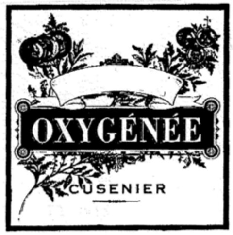 OXYGENEE CUSENIER Logo (DPMA, 11/30/2001)