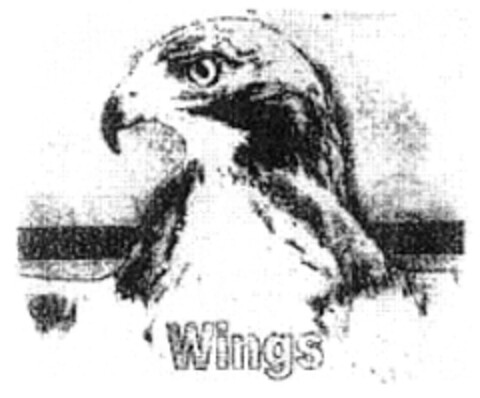 Wings Logo (DPMA, 07.01.2010)