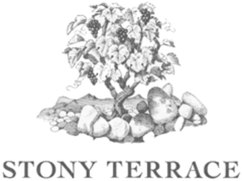 STONY TERRACE Logo (DPMA, 11/30/2011)