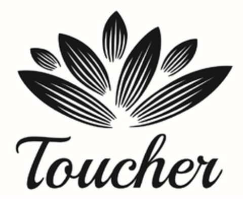 Toucher Logo (DPMA, 12.08.2016)