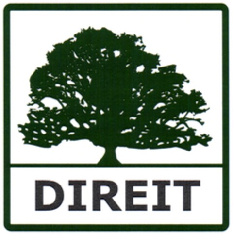 DIREIT Logo (DPMA, 21.06.2007)