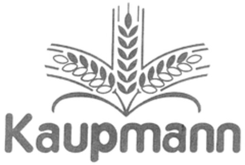 Kaupmann Logo (DPMA, 04.11.2008)