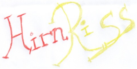 HirnRiss Logo (DPMA, 19.03.2013)