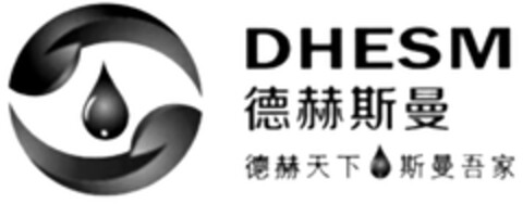 DHESM Logo (DPMA, 11/20/2014)