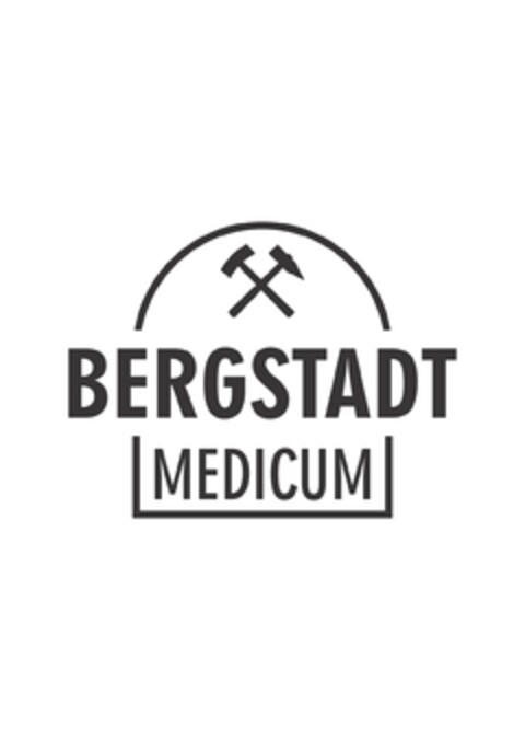 BERGSTADT MEDICUM Logo (DPMA, 02.11.2018)