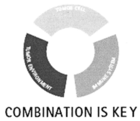 COMBINATION IS KEY Logo (DPMA, 26.07.2007)