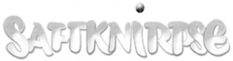 SAFTKNIRPSE Logo (DPMA, 02/04/2009)