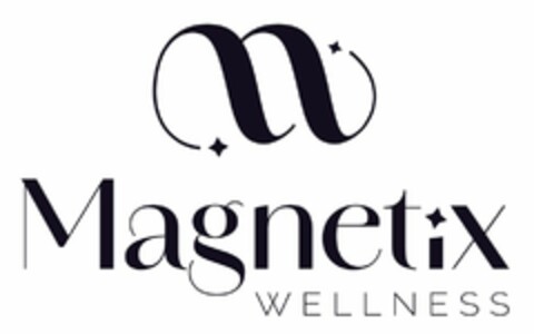 Magnetix WELLNESS Logo (DPMA, 30.06.2025)