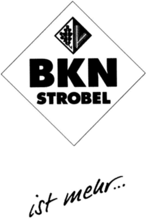 BKN STROBEL ist mehr Logo (DPMA, 03.07.1995)