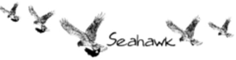 Seahawk Logo (DPMA, 02/03/1999)