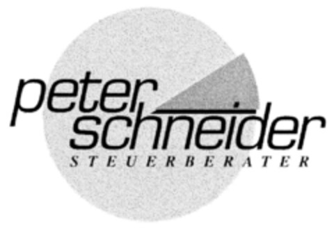 peter schneider STEUERBERATER Logo (DPMA, 08.01.2000)