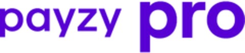 payzy pro Logo (DPMA, 05.03.2024)