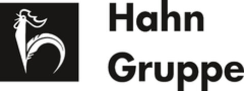 HahnGruppe Logo (DPMA, 06/22/2021)