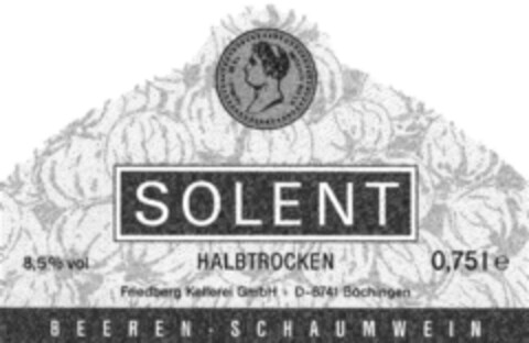 SOLENT Logo (DPMA, 11.12.1991)