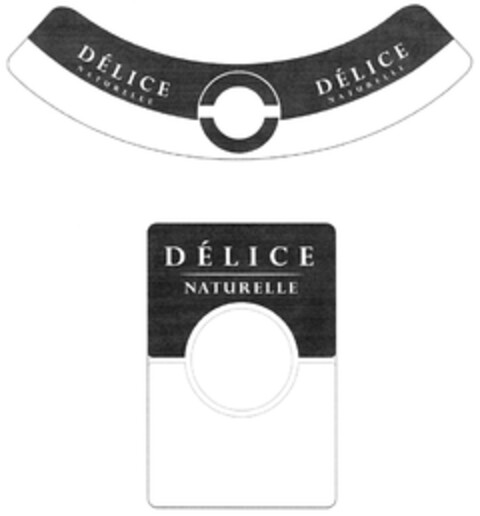 DELICE NATURELLE Logo (DPMA, 04/05/2008)