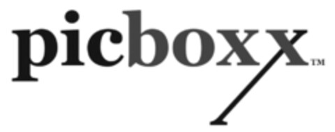 picboxx Logo (DPMA, 01/18/2010)