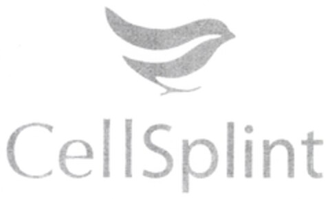 CellSplint Logo (DPMA, 05.11.2008)