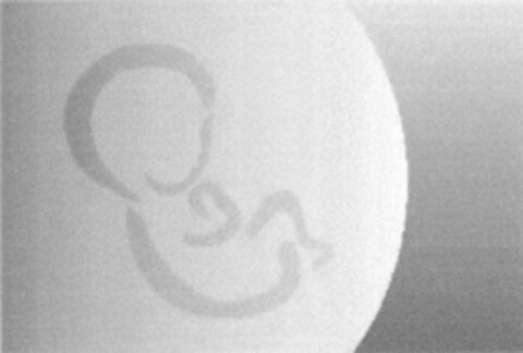 30771713 Logo (DPMA, 06.11.2007)