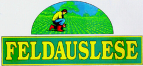 FELDAUSLESE Logo (DPMA, 16.07.1992)