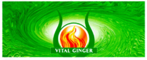 VITAL GINGER Logo (DPMA, 09.01.2001)